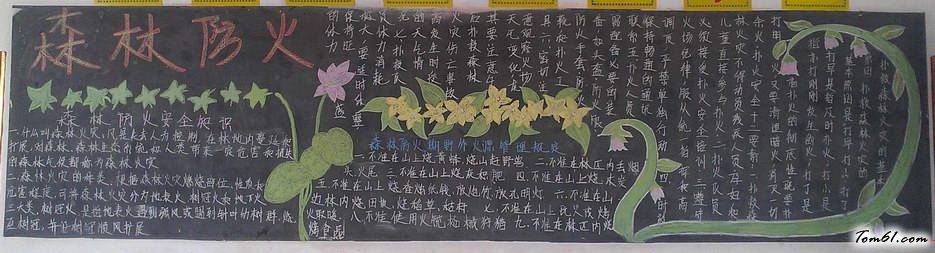 森林防火黑板报版面设计图5图片1