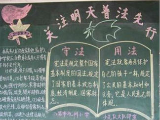 法制教育黑板报版面设计图5