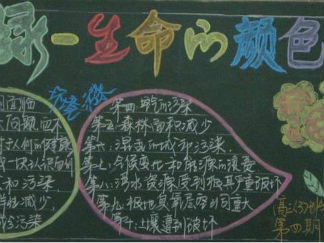 环保的黑板报版面设计图2