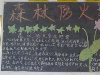 森林防火黑板报版面设计图5