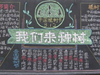 植树节黑板报版面设计图5