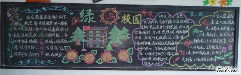 简单好看的植树节黑板报版面设计图图片1