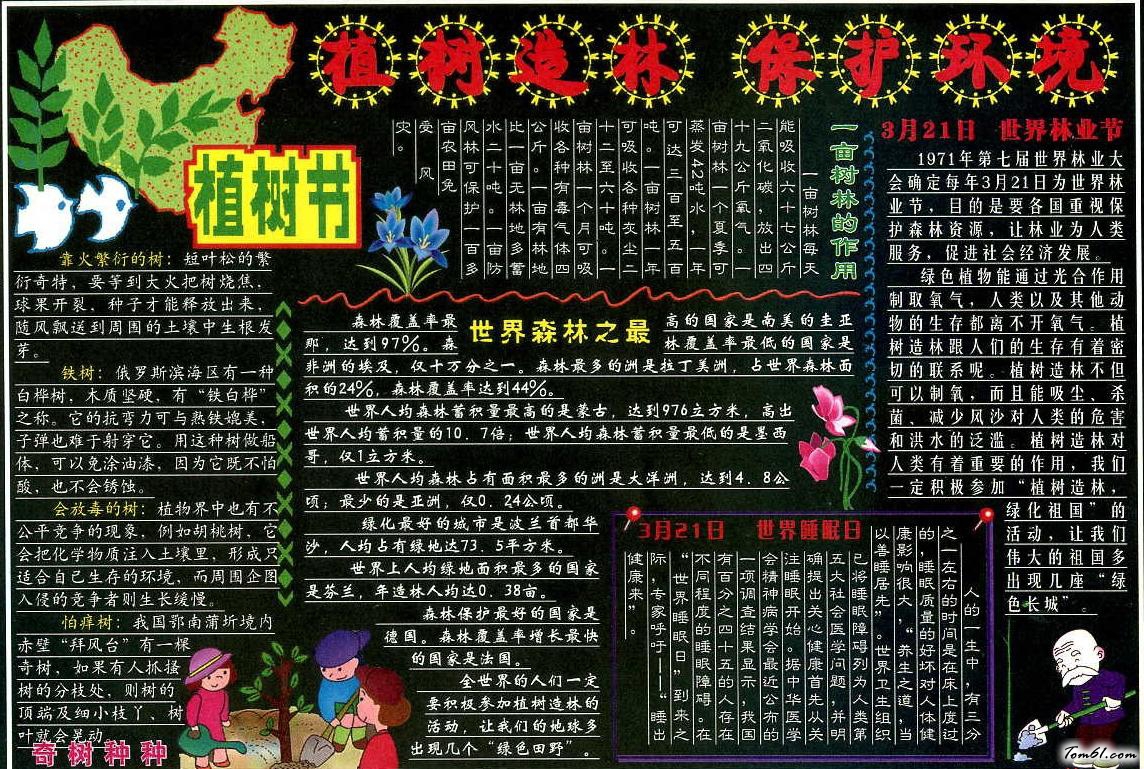 清晰的植树节黑板报版面设计图2图片1