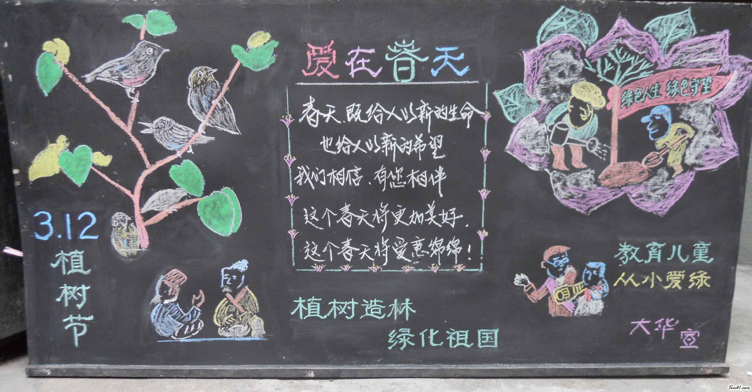 一年级植树节黑板报版面设计图5图片1