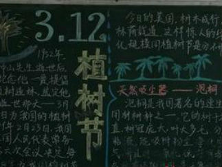 312植树节黑板报版面设计图