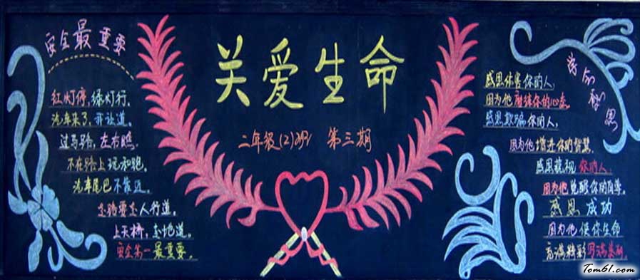 安全教育黑板报版面设计图6图片1