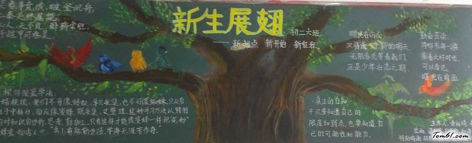 新起点新征程黑板报版面设计图2图片1