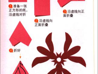 百合的剪纸图案与图解教程