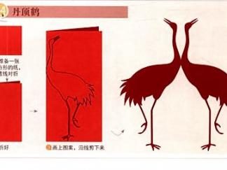 丹顶鹤的剪纸图案与图解教程