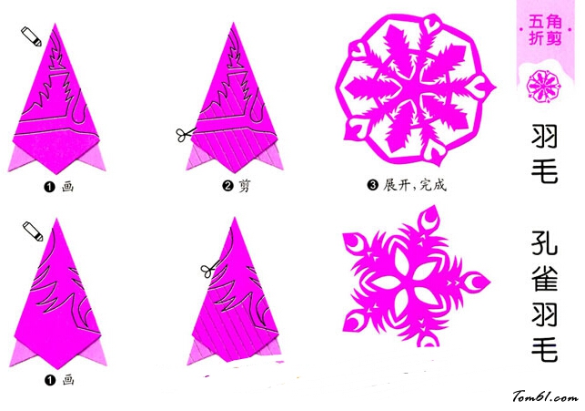 剪纸之孔雀羽毛图片1