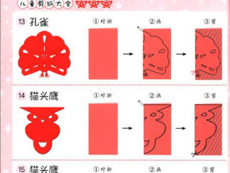 猫头鹰,孔雀的剪纸图案与图解教程