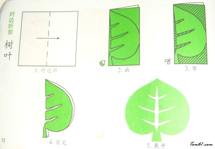 剪纸之树叶2图片1