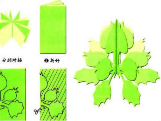 漂亮的立体小草的剪纸图案与图解教程