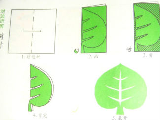 树叶的剪纸图案与图解教程2