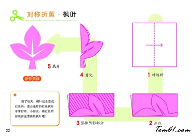 剪纸之枫叶图片1