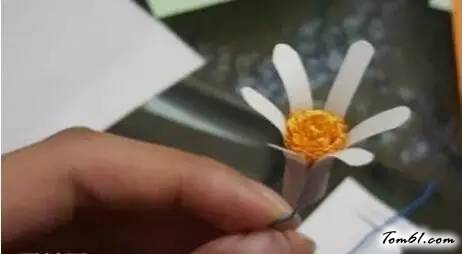 小雏菊的剪纸图案与图解教程图片5
