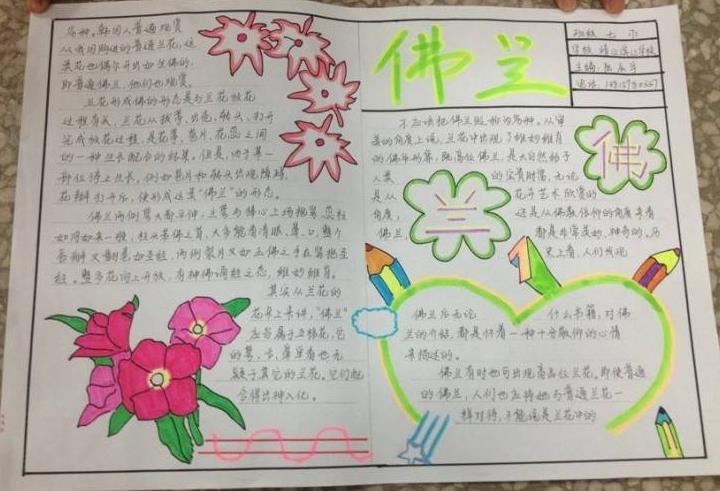 春天的植物手抄报图片之佛兰图片1