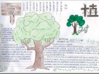 小学生植树节手抄报版面设计图
