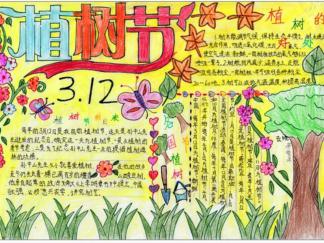 漂亮的植树节手抄报版面设计图
