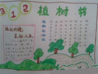 植树节四手抄报版面设计图