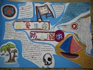 脆弱的生命要保护手抄报版面设计图