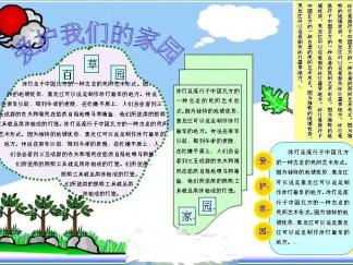 爱护我们的家手抄报版面设计图