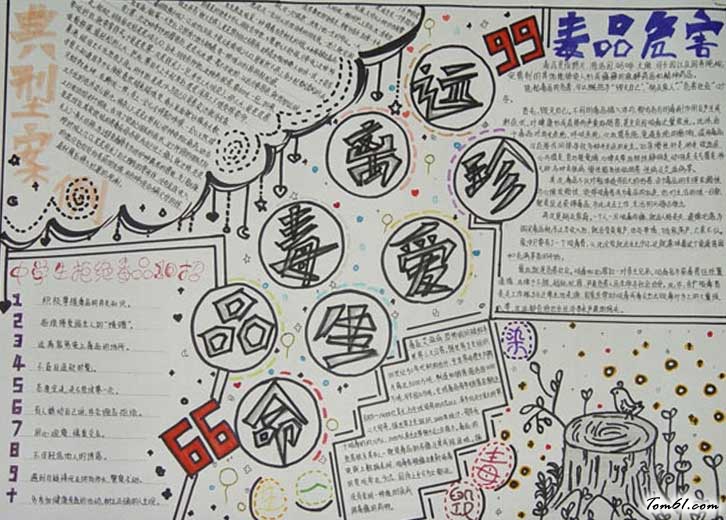 吸毒手抄报2图片1