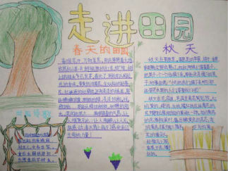 走进田园手抄报版面设计图一