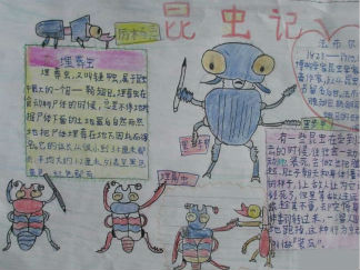 昆虫记手抄报版面设计图一