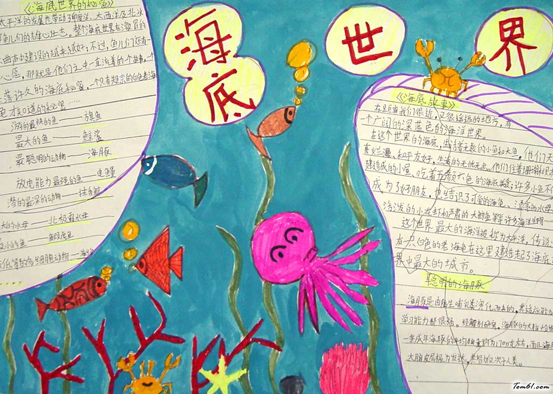 海底世界手抄报模板图片1