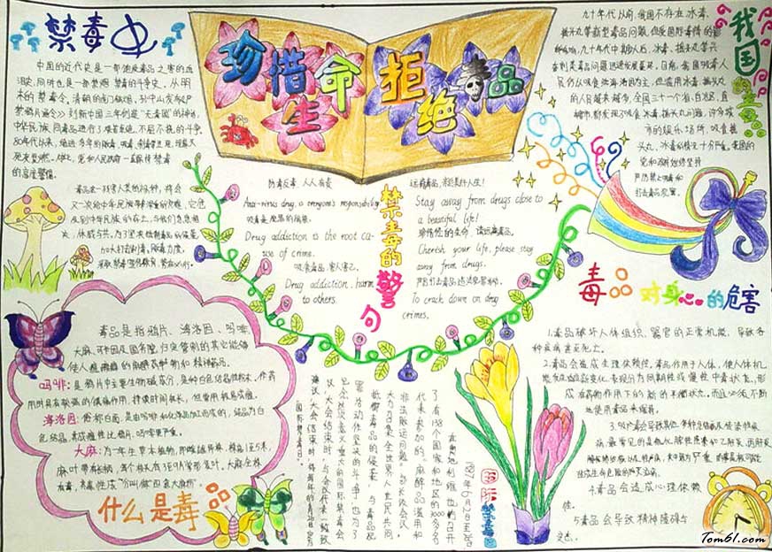 禁毒手抄报版面设计图图片1