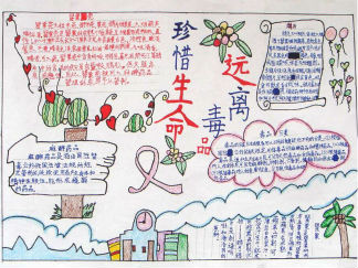 禁毒手抄报版面设计图二