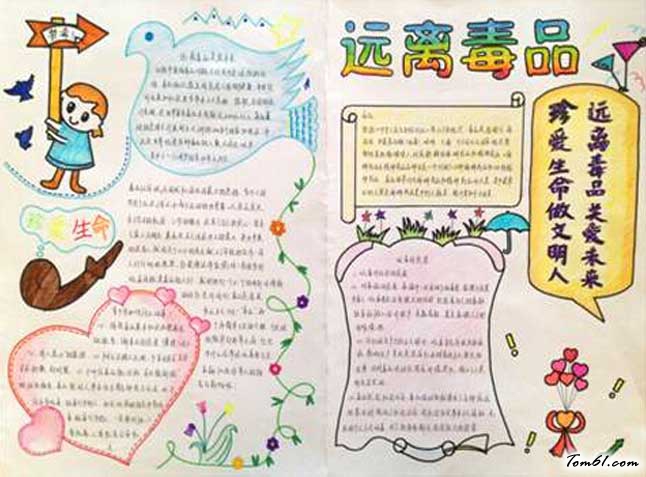 小学生禁毒小报图片图片1