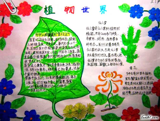 我和植物交朋友手抄报2图片1