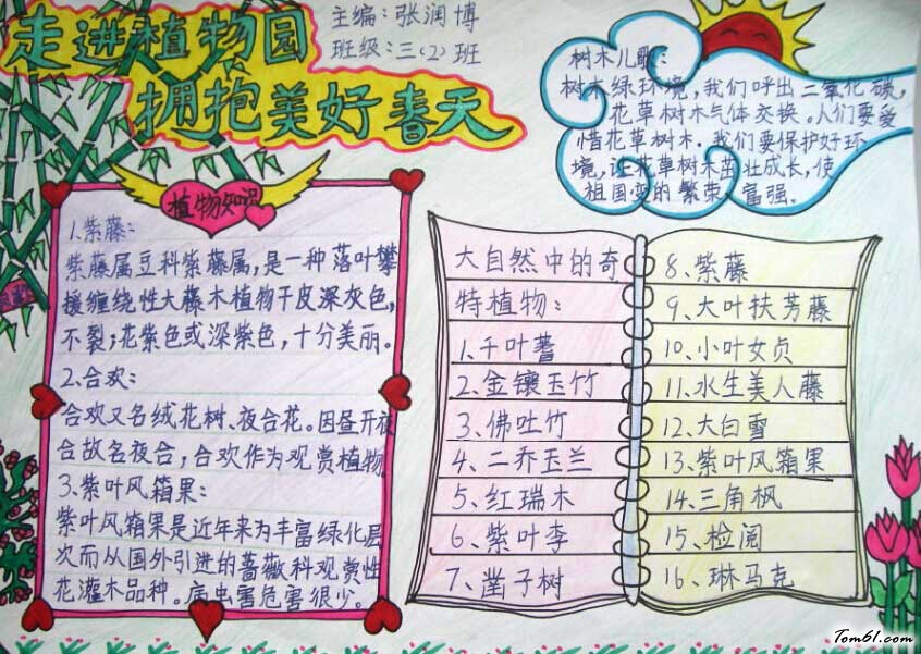 我和植物交朋友手抄报3图片1