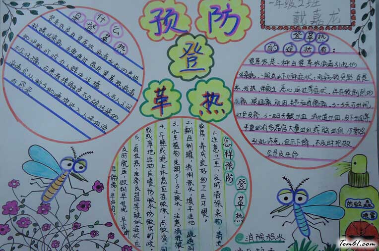 灭蚊防病健康你我手抄报图片1
