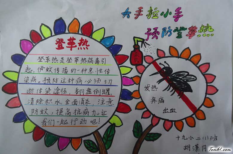灭蚊防病健康你我手抄报2图片1