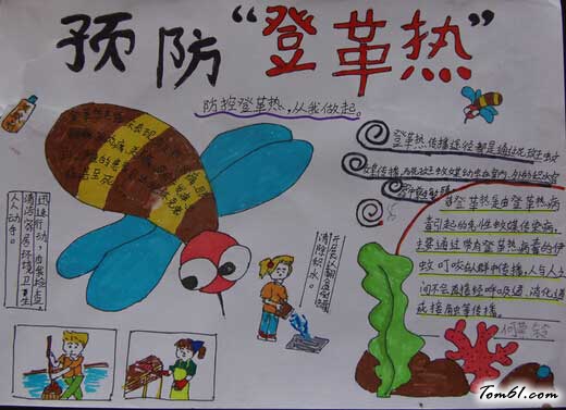 灭蚊防病健康你我手抄报3图片1