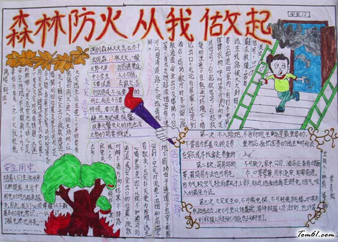 世界森林日手抄报2图片1