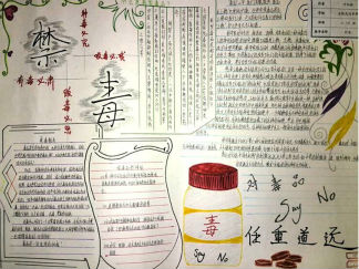 禁毒日手抄报版面设计图二