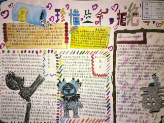 禁毒日手抄报版面设计图