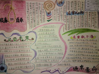 禁毒日手抄报版面设计图三