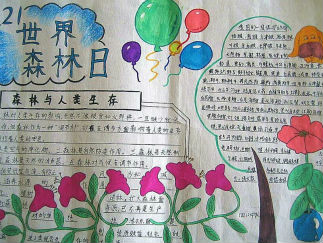 世界森林日手抄报版面设计图