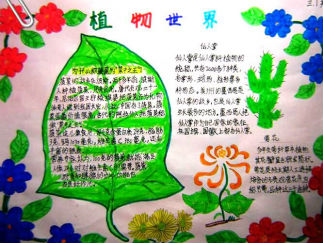 我和植物交朋友手抄报版面设计图一