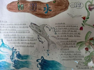 初中生防溺水手抄报版面设计图