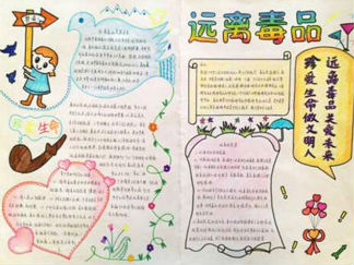 小学生禁毒手抄报版面设计图