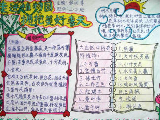 我和植物交朋友手抄报版面设计图二