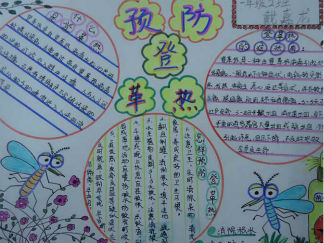 灭蚊防病健康你我手抄报版面设计图