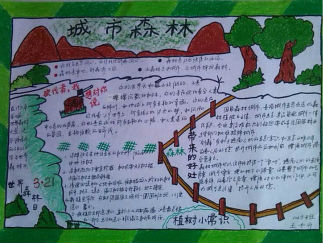 小学生创建森林城市手抄报版面设计图一