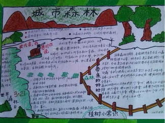 创森手抄报版面设计图一